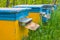 Apiary with closeup beehive in a forest