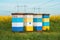 Apiary crates in canola field, colorful wooden beehive wooden boxes on plantation with electricity pylons in background