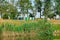 Apiary planted on the river for breeding bees and extracting honey