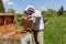 Apiculture. Apiary. Wooden hive. Beekeeper holds in the hands the frame of honeycombs. Carpathian honey bee. Pretty wooden hives.