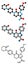 Apixaban anticoagulant drug molecule direct FXa inhibitor.