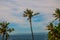 Apo island, Philippines, view on island beach line. Palm trees, sea.