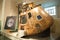 Apollo 10 Command Module in London\'s Science