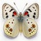 Apollo butterfly Parnassius apollo. Beautiful Butterfly in Wildlife. Isolate on white background