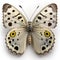 Apollo butterfly Parnassius apollo. Beautiful Butterfly in Wildlife. Isolate on white background