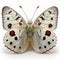 Apollo butterfly Parnassius apollo. Beautiful Butterfly in Wildlife. Isolate on white background