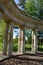 Apollo colonnade in Pavlovsk park