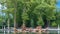 Apollo fountain in the Versailles Palace park timelapse, Ile de France