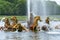 Apollo fountain in Versailles park, Paris, France