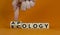 Apology to ecology symbol. Hand turns cubes and changes word `ecollgy` to `apology`. Beautiful orange background, copy space.