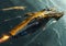 Apophis\\\' Warfleet: A Thrilling Space Battle of Silver and Yellow