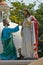Apostle Thomas and Jesus Christ