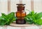 Apothecary bottle with essential mint oil extract, tincture, infusion. Fresh spearmint leaves close up.