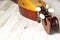 Appalachian mountain dulcimer musical instrument on a rustic white wooden background