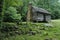 Appalachian Mountain Log Cabin