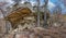 Appalachian Rock Outcroppings On A Hiking Trail.