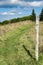 Appalachian Trail on Apple Orchard Mountain