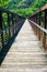 An Appalachian Trail Footbridge Over the James River