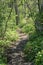 Appalachian Trail in the Mountains