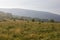 Appalachian Trail Scenery Near Mount Rogers, Virginia