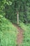 Appalachian Trailhead crosses Blue Ridge Parkway