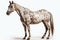 Appaloosa Horse On White Background. Generative AI