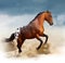 Appaloosa wild horse in desert