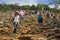 Apparition hill Podbrdo of the Virgin Mary in Medjugorje, Bosnia and Herzegovina