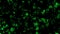 Appearing and disappearing 2d Green circles and squares digital background, dark futuristic background