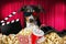 Appenzeller dog watching a movie in a cinema theater, with soda and popcorn wearing 3d glasses