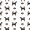 Appenzeller sennenhund all colours seamless pattern. Different coat colors and poses set