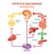 Appetite and hunger hormones vector diagram illustration, graphic educational scheme. Educational medical information.