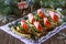 Appetizer canape on crispy bread with cucumber, carrots and sausage. Beautiful Christmas and New Year`s food background.