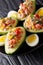 Appetizing appetizer: fresh avocado with tuna salad and vegetables close-up. vertical