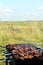 Appetizing barbecue on the fire in the field