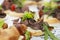 Appetizing canapes with meat and vegetables on the buffet table. Business meetings and celebrations. Close-up. Selective focus