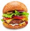 Appetizing cheeseburger close up on white background. Clipping path