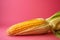 An appetizing corn is isolated on a pink background