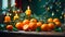 Appetizing decoration tangerines, candles, decorative fruit Christmas tree branch orange food green december