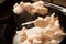 Appetizing fatty chicken meat for a dietary diet. Dynamic photo of mixing chicken breast in a pan