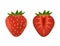 Appetizing fresh strawberry. Red ripe 3d realistic strawberry Whole and cut in half.