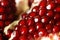 Appetizing pomegranate closeup