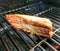 Appetizing salmon fillet on the grill