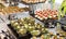 Appetizing snacks on the buffet table at the event. Close-up