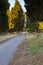 Appian Way (Via Appia) in Rome, Italy