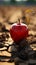 Apple atop dry, cracked soil symbolizes food insecurity, water shortage, and agricultural crisis