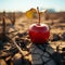 Apple atop dry, cracked soil symbolizes food insecurity, water shortage, and agricultural crisis