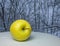 An apple with a background of snow-cowered trees