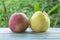 Apple and Barrow fruit on table