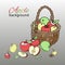 Apple basket background banner vector illustration. Bright colorful fruit in bucket or wooden container. Healthy fresh